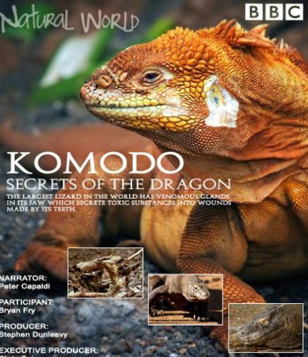 KH076 - Document - BBC KOMODO - Secrets of the Dragon 2011 (1.7G)